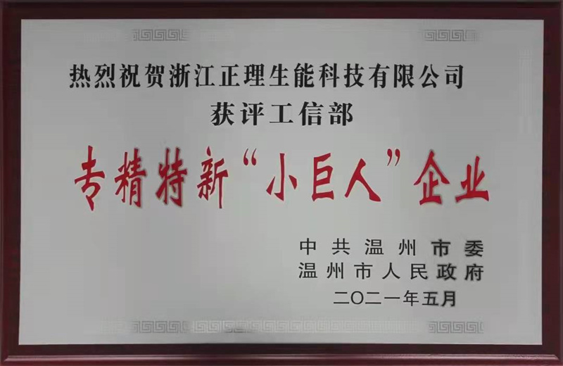 国家级专精特新小巨人.jpg